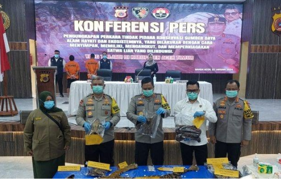 Polda Aceh Gagalkan Perdagangan Ilegal Kulit Harimau Sumatra