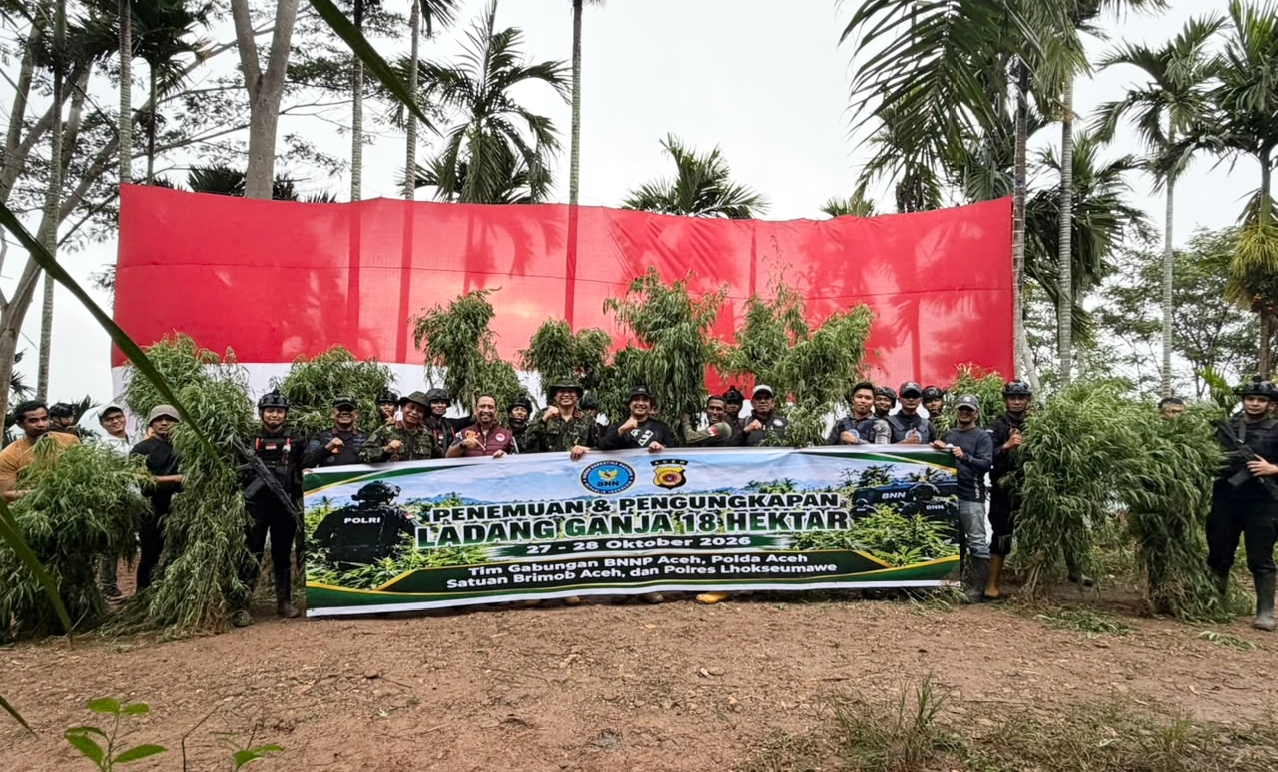 Polda Aceh Musnahkan 18 Hektare Ladang Ganja di Aceh Utara